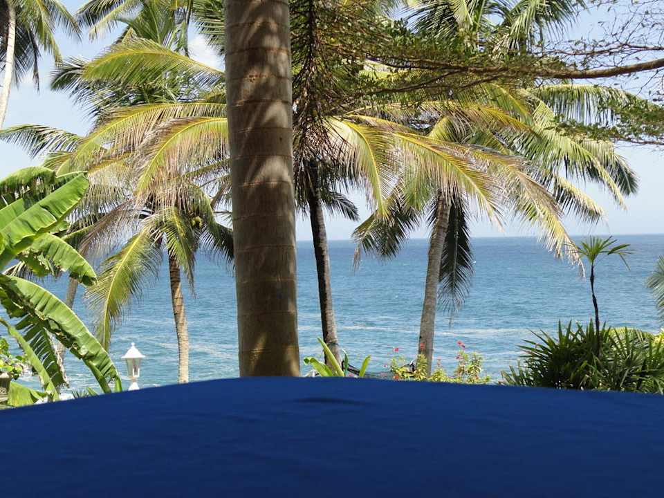 Vom Mittagstisch Villa Lucky Star