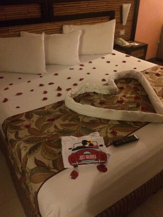 Willkommen Honeymoon Sandos Playacar Beach Resort