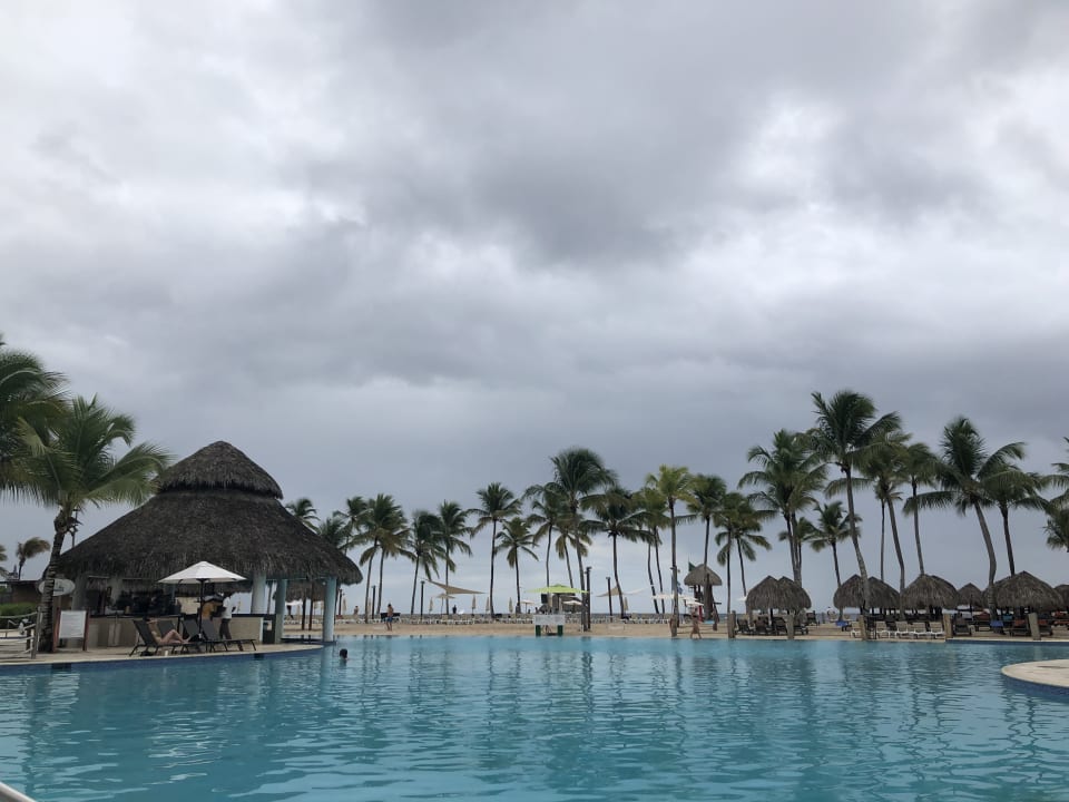 Pool Dreams Dominicus La Romana