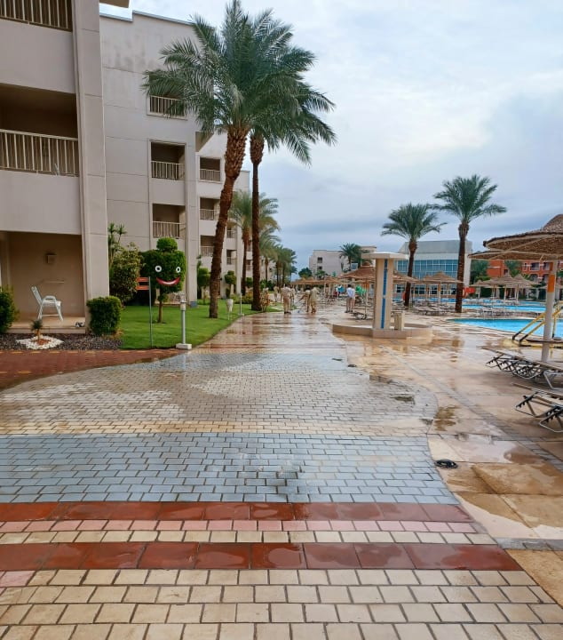 Pool Jaz Soma Beach