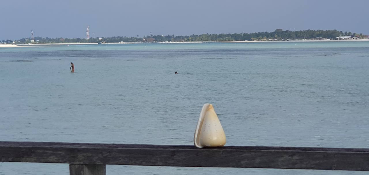 Ausblick Villa Park Sun Island