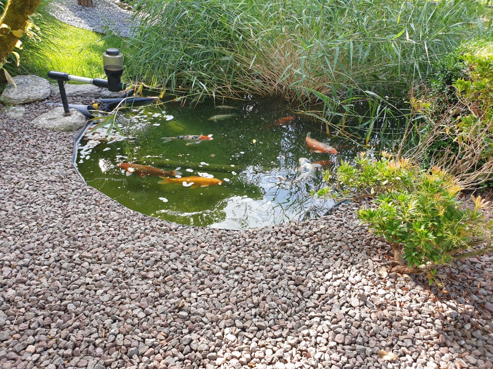 Ausblick Hotel Hanswirt