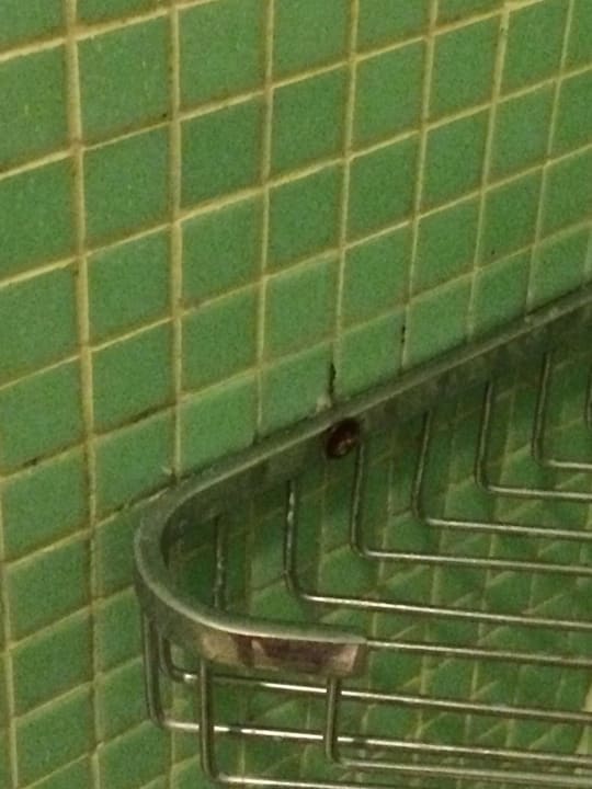 Dusche, Dreck und Schimmel Marvida Family Eco