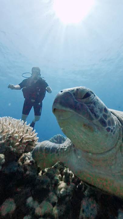 Sonstiges Cleopatra Luxury Resort Makadi Bay