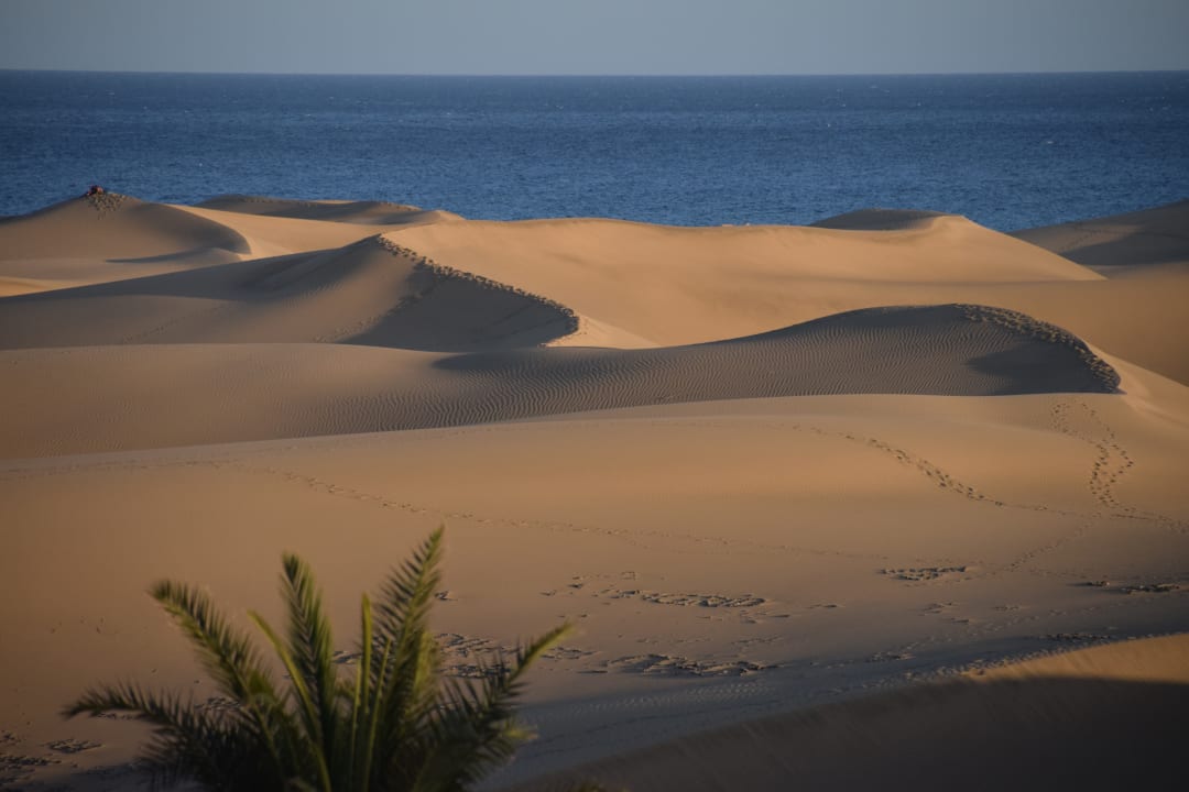 Ausblick Hotel Riu Palace Maspalomas Adults Only
