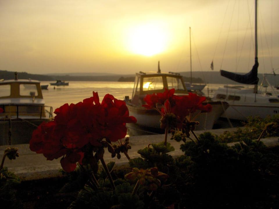 Blick auf Hafen von Punat Falkensteiner Hotel Park Punat