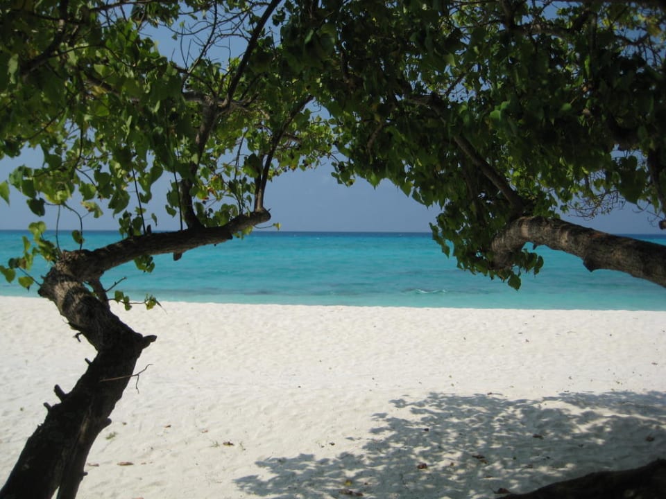 Strand Kuramathi Maldives