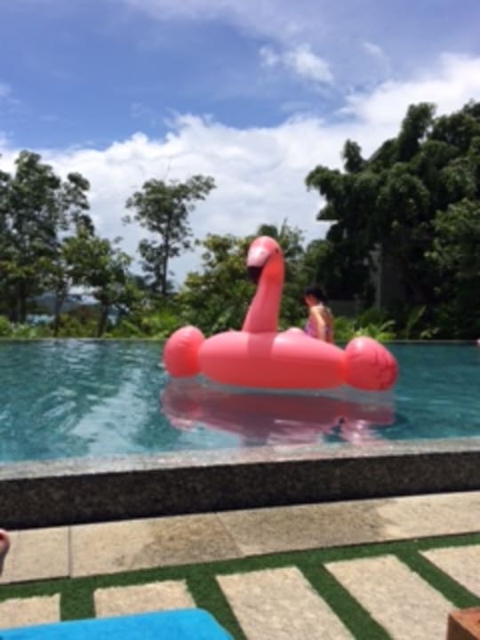 Pool Pullman Phuket Arcadia Naithon Beach