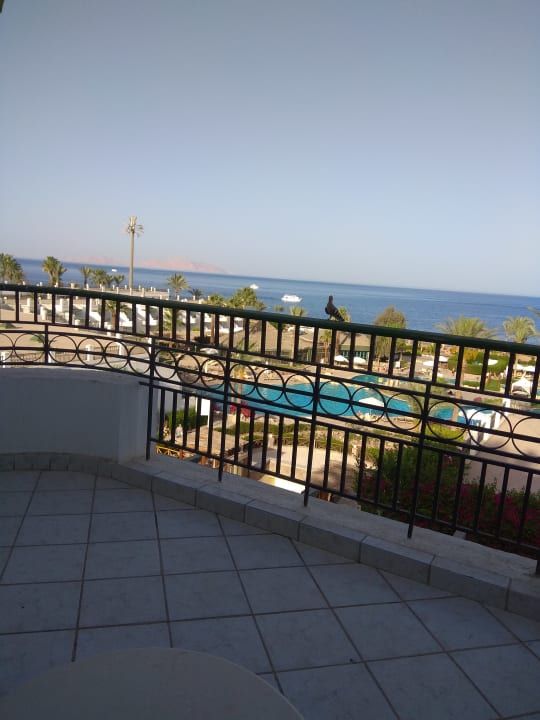 Ausblick Safir Sharm Waterfalls Resort