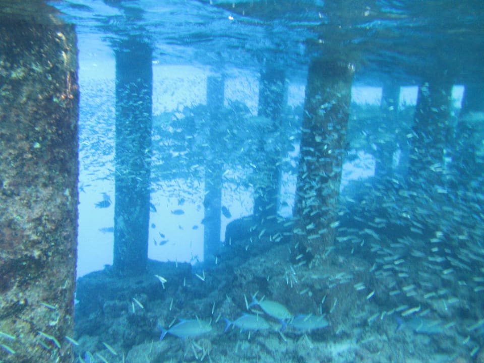 Unter dem Steg Adaaran Select Meedhupparu Island Resort - Premium All Inclusive