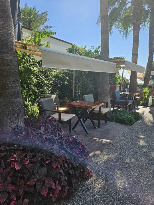 Gartenanlage Nerton Hotel - Erwachsenenhotel ab 16 Jahren