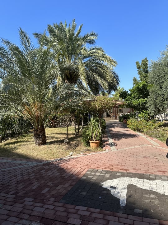 Ausblick Seaden Sea World Resort & Spa