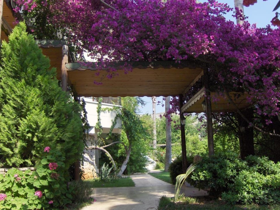 Eingangsbereich Hotel Pataros