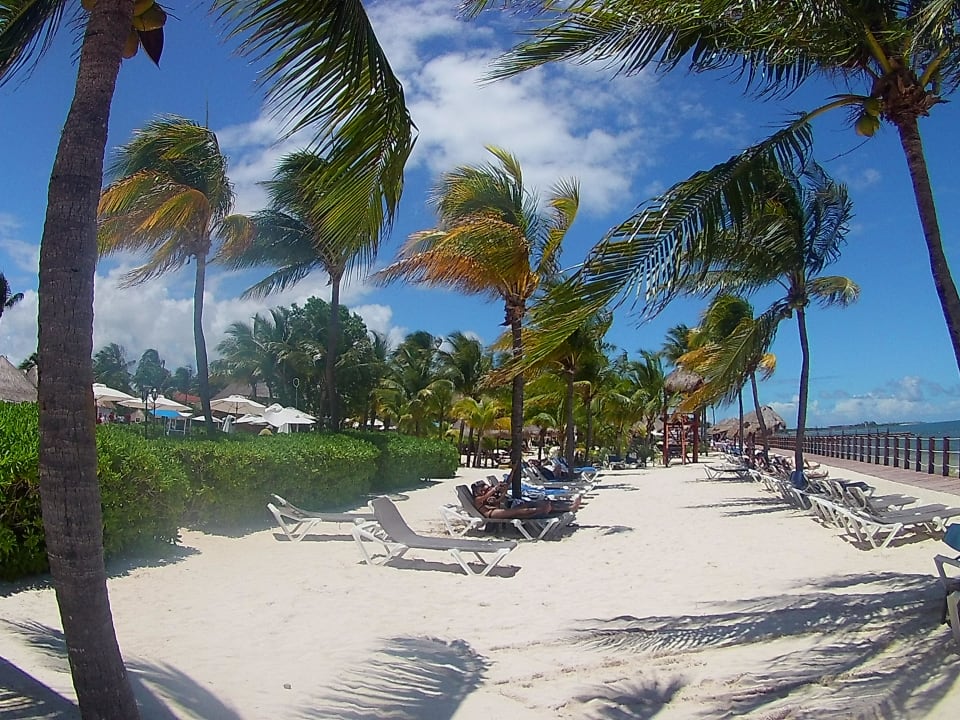 Strand H10 Ocean Maya Royale - Adults only