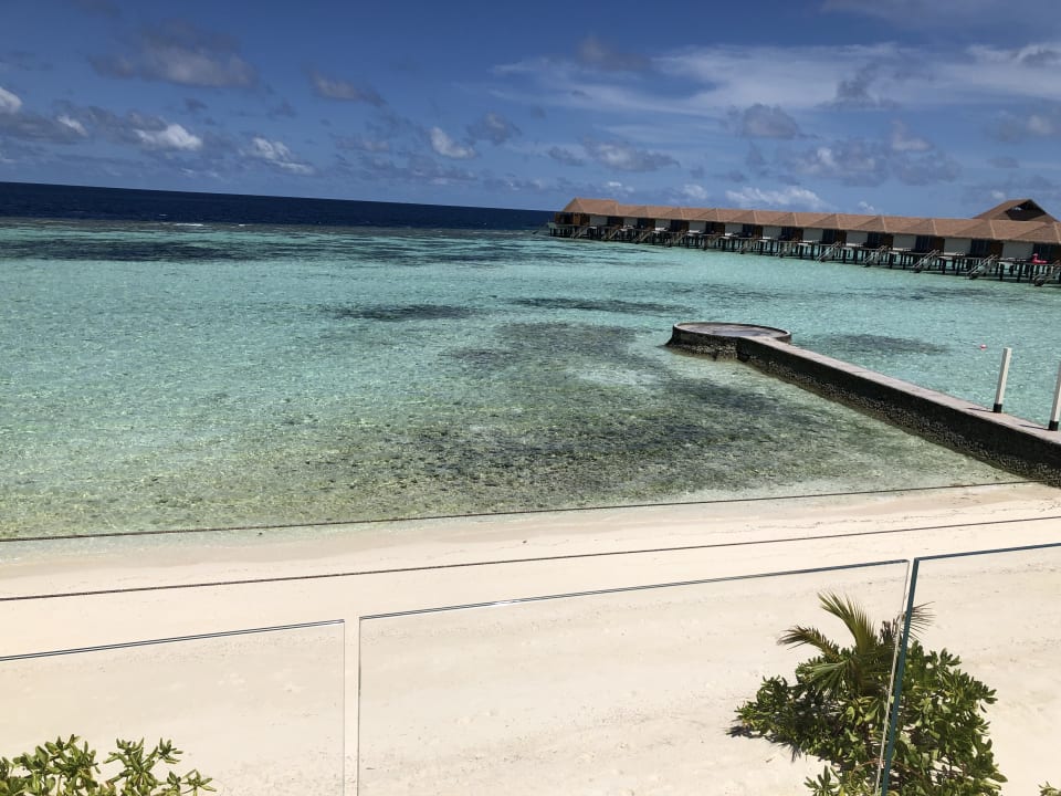 Ausblick Cinnamon Velifushi Maldives