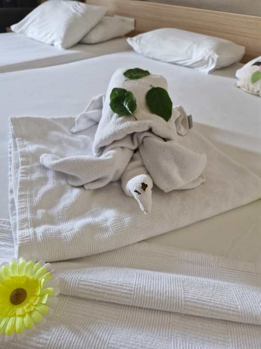 Zimmer Telatiye Resort
