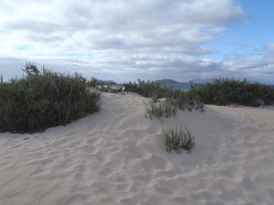 Hohe Dünen zum Erklimmen Hotel Riu Oliva Beach - Hotel