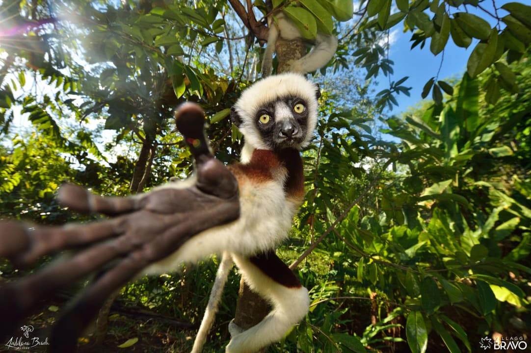 Gartenanlage VOI Andilana Resort