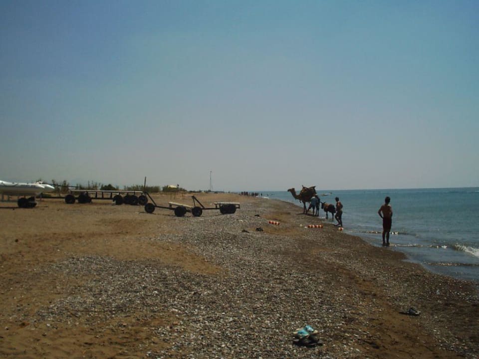 Feiner Sandstrand? Belek Beach Resort Hotel