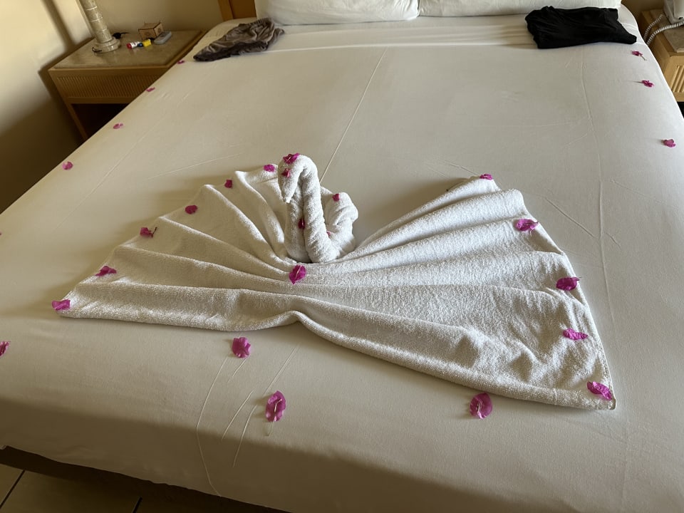 Zimmer Hotel JAZ Makadi Star & Spa