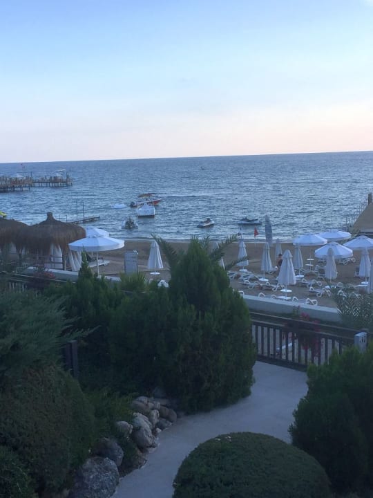 Strand PALOMA Perissia