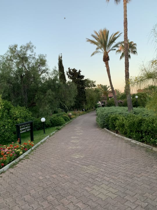 Gartenanlage Starlight Resort Hotel