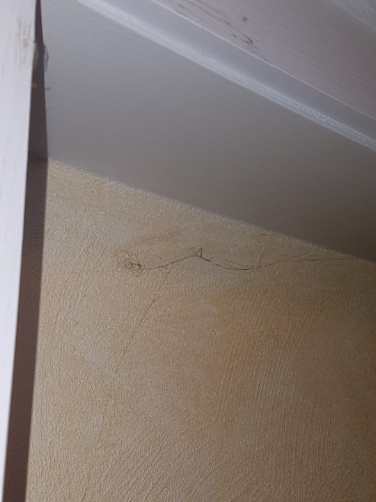 Zimmer Landhaus Wiesemann - Ferienwohnungen in Bestlage