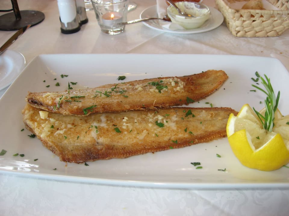  Seezunge Marina Playa Suite Hotel