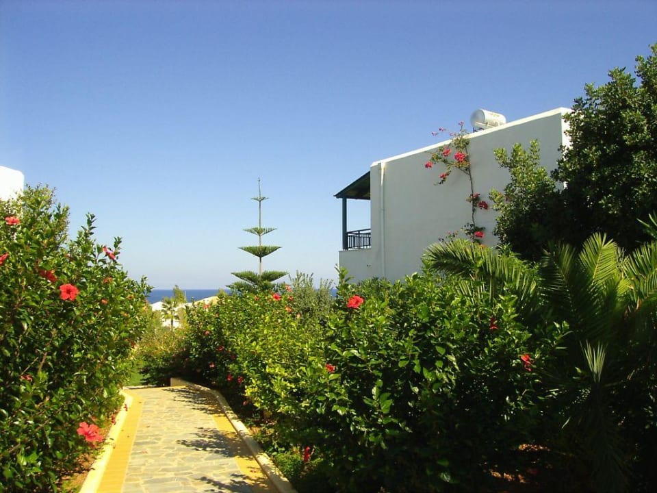 Bungalow1 TUI SUNEO Chrissi Amoudia