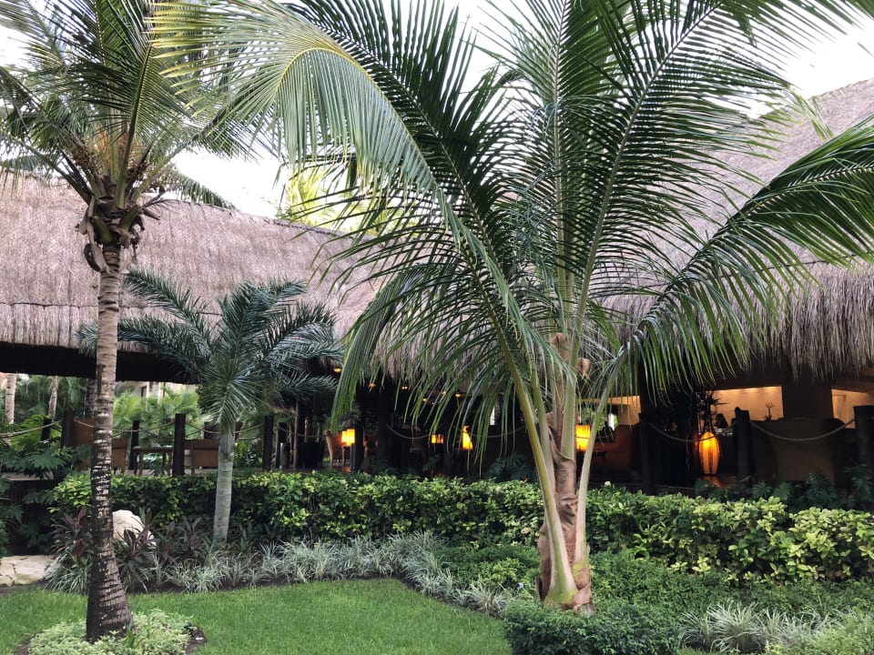 Gartenanlage Akumal Bay Beach & Wellness Resort