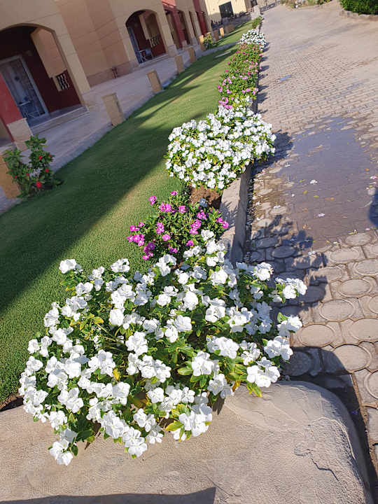 Gartenanlage Casa Mare Resort