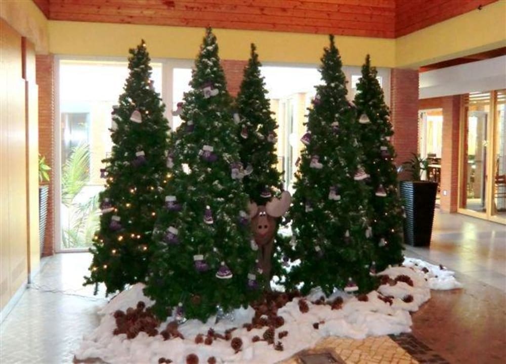 Weihnachten 2012 ROBINSON QUINTA DA RIA