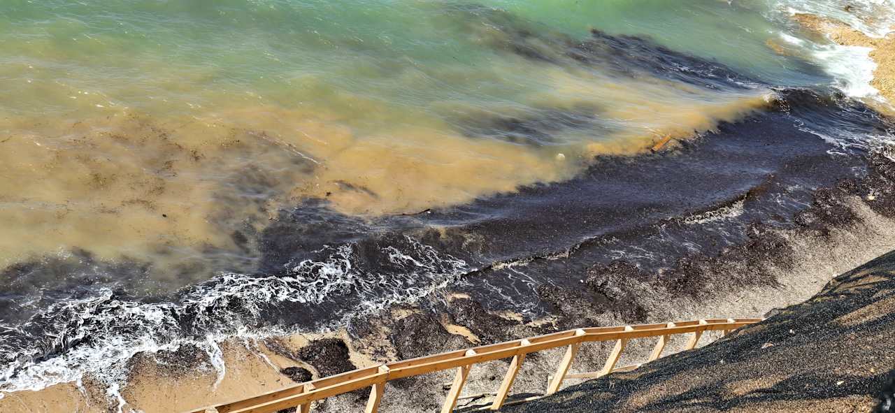 Strand Zoetry Halkidiki Resort & Spa - Adults Only +16 - New Opening