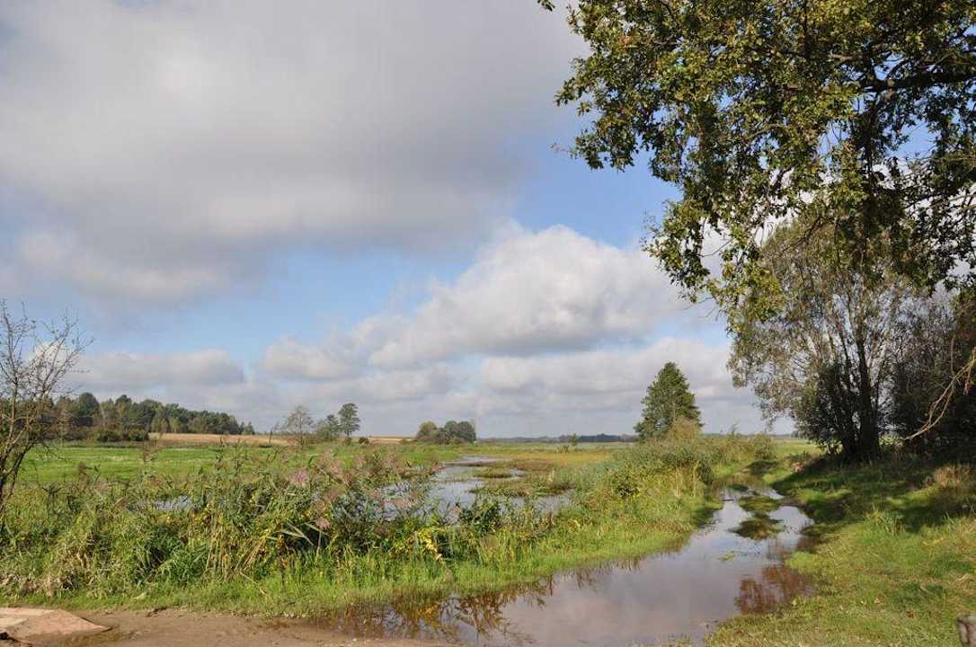 Tereny zalewowe Dworek nad Łąkami Kiermusy