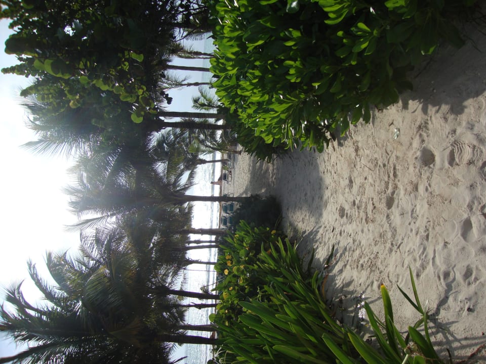 Hotel Catalonia Playa Maroma Catalonia Playa Maroma