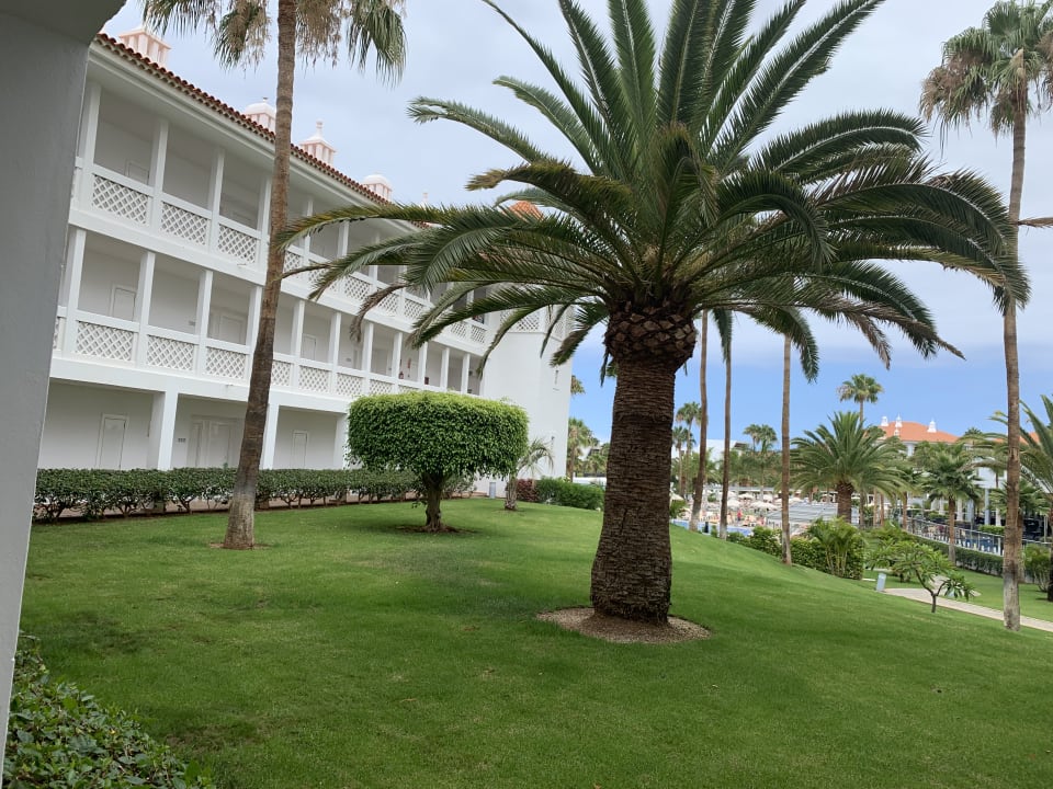 Gartenanlage Hotel Riu Arecas - Adults only