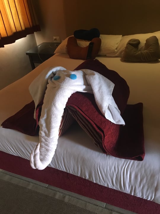 Zimmer Jaz Makadi Oasis Resort