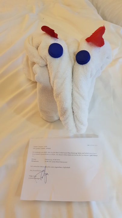 Zimmer PALOMA Perissia