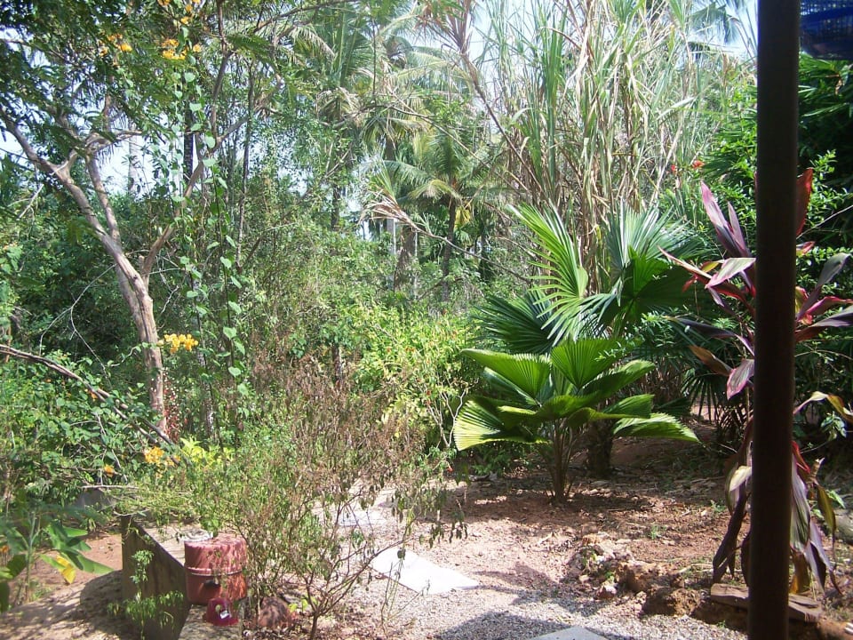 Blick in denn Hinteren Garten  ELDC Dreamcatcher House