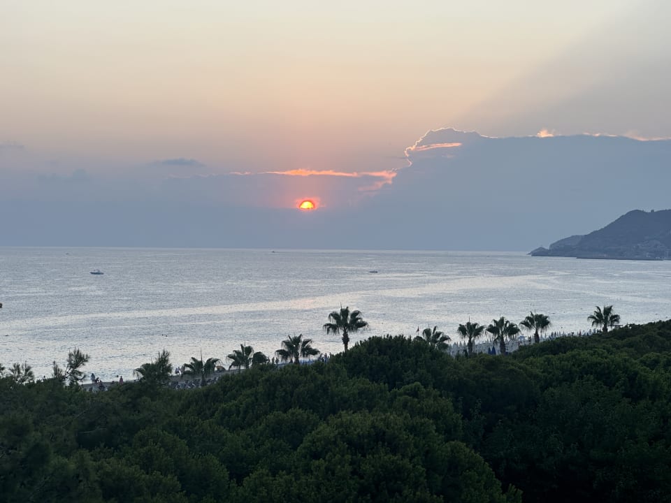Ausblick Gardenia Hotel
