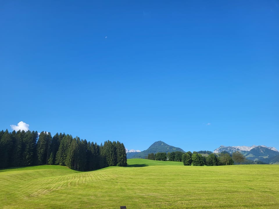 Ausblick Bio-Bauernhof Oberhochstätt