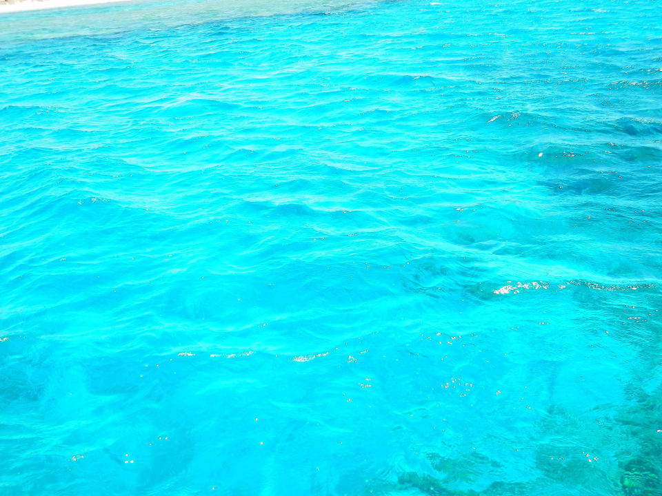 Красота Shams Alam Beach Resort