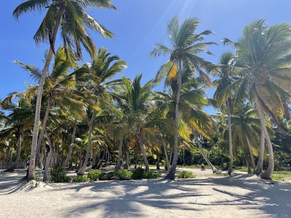 Strand Serenade Punta Cana Beach & Spa resort