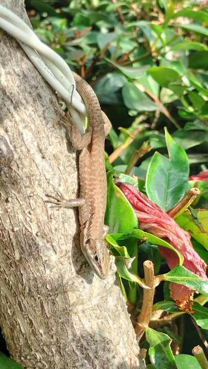 Gartenanlage Diamond De Luxe Hotel & Spa