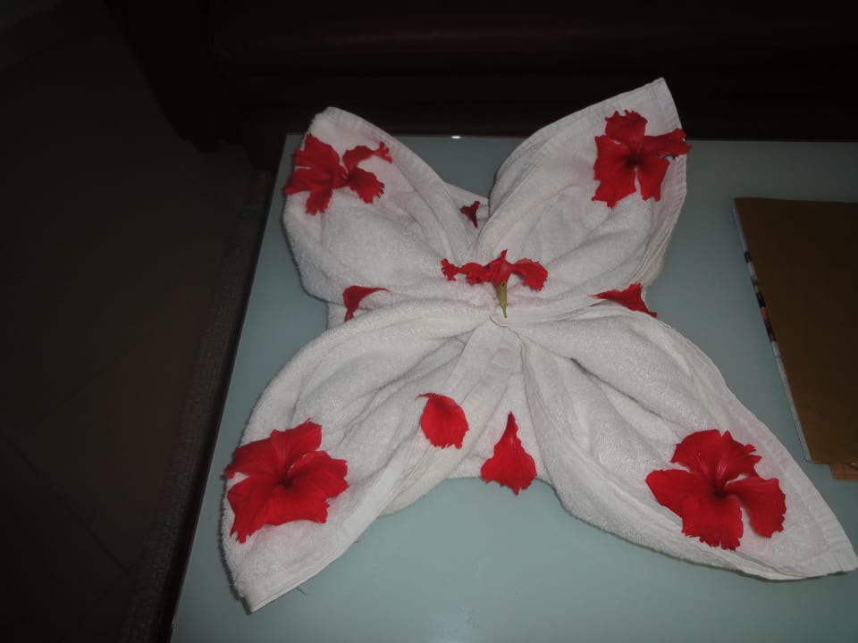 Jeden Tag eine Aufmerksamkeit des Zimmermädchens Grand Palladium Select Bávaro Resort & Spa