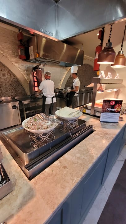 Gastro Papillon Ayscha