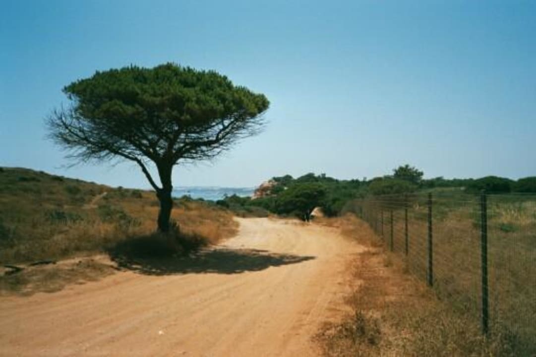 Der Weg zum Strand. AP Adriana Beach Resort