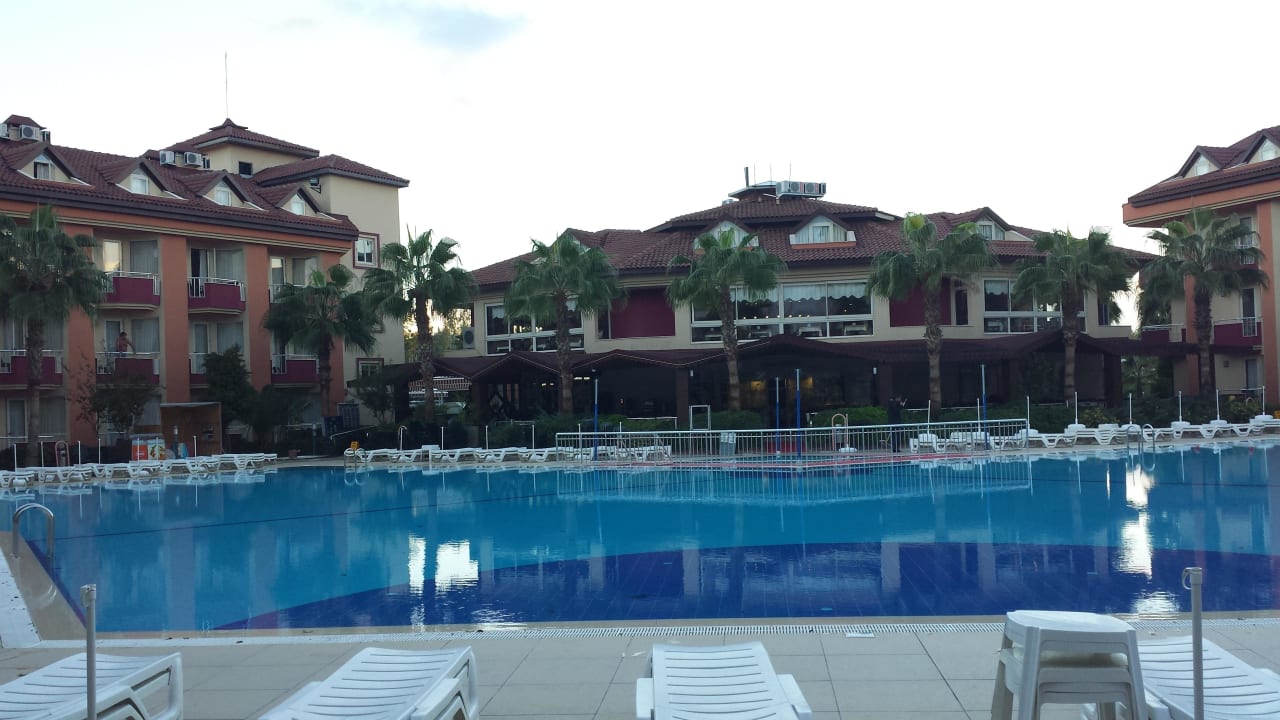 Pool am Tag Hotel Orfeus Park