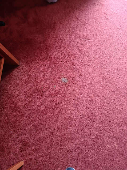 Zimmer Hotel Le Jean-Sébastien Bach Strasbourg