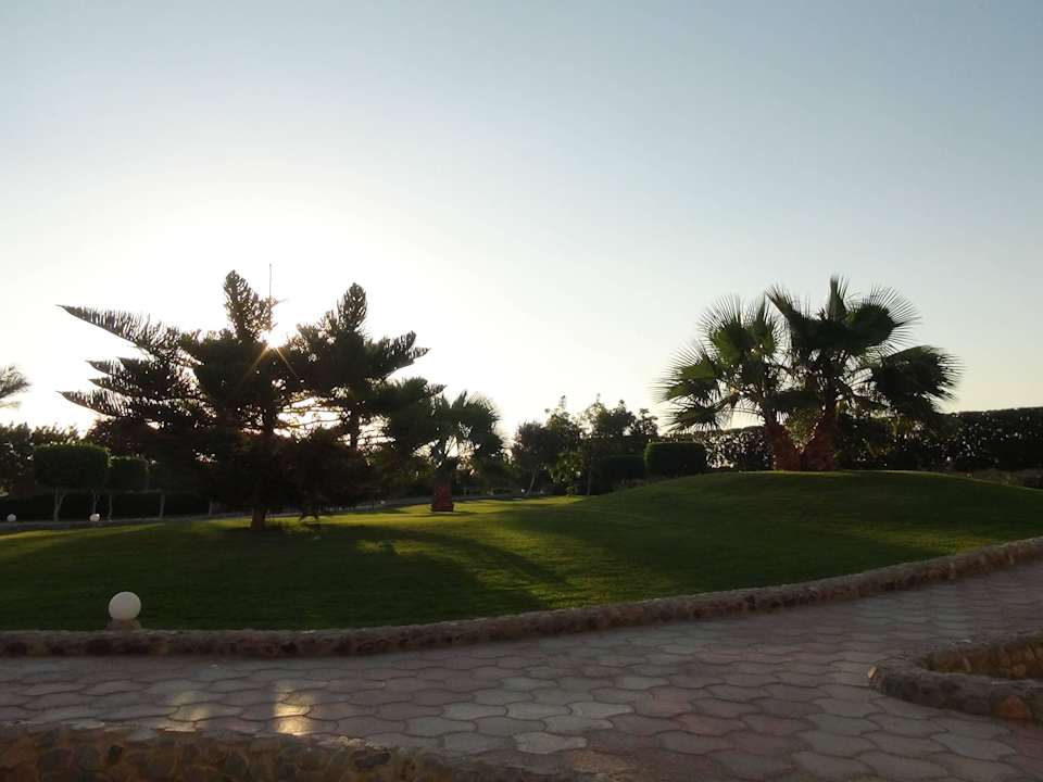 Ogród Three Corners Sea Beach Resort